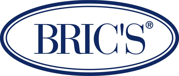 Bric's — LeelineBags customer